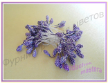 13 м Тычинки фиолетовые с напылением (малинки) - 10 штук