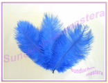 ПС - 10 - перья страуса (синие)