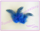 9 ПФ - перо фазана - синее
