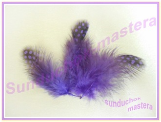 10 ПФ - перо фазана - фиолетовое